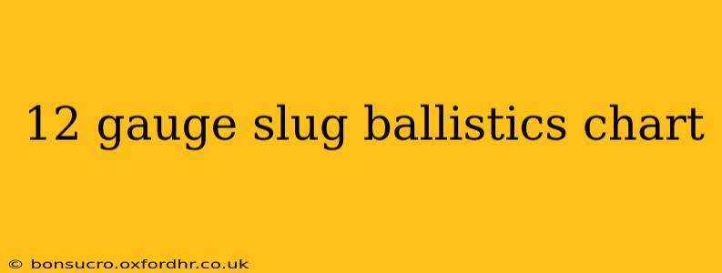 12 gauge slug ballistics chart