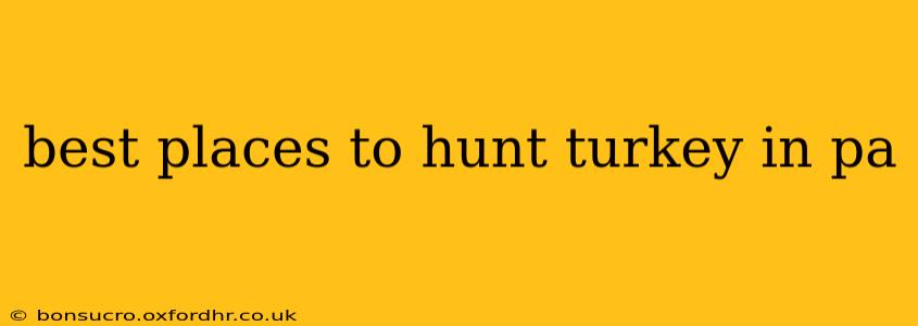 best places to hunt turkey in pa