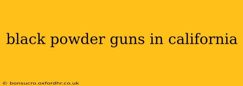 black powder guns in california