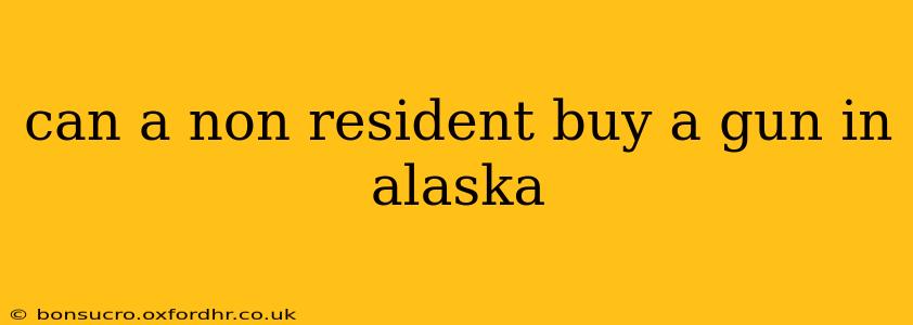 can a non resident buy a gun in alaska