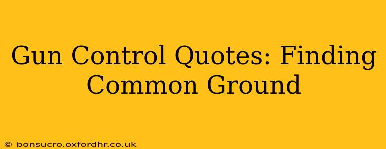 Gun Control Quotes: Finding Common Ground