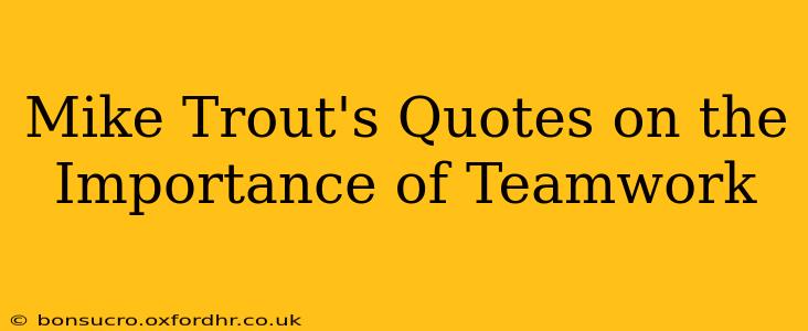 Mike Trout's Quotes on the Importance of Teamwork