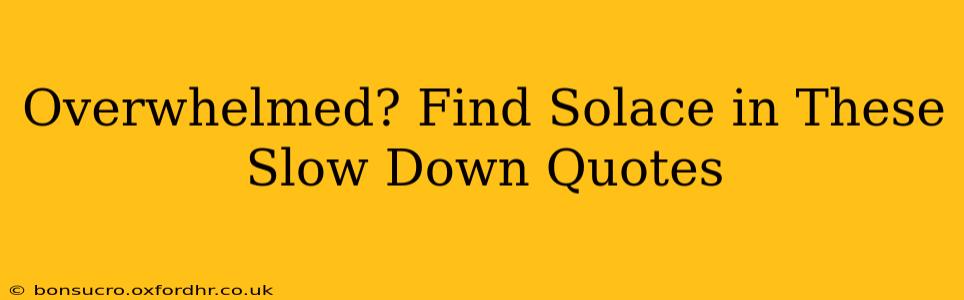 Overwhelmed? Find Solace in These Slow Down Quotes