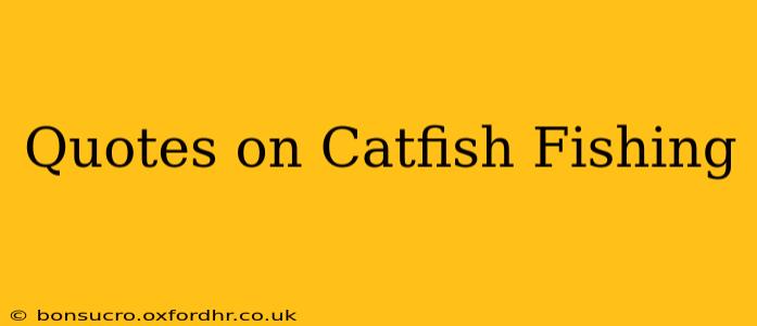 Quotes on Catfish Fishing