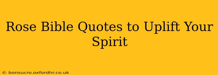 Rose Bible Quotes to Uplift Your Spirit
