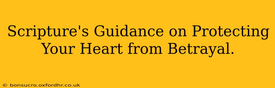 Scripture's Guidance on Protecting Your Heart from Betrayal.