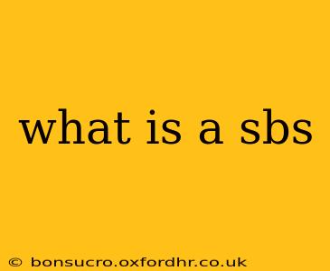 what is a sbs