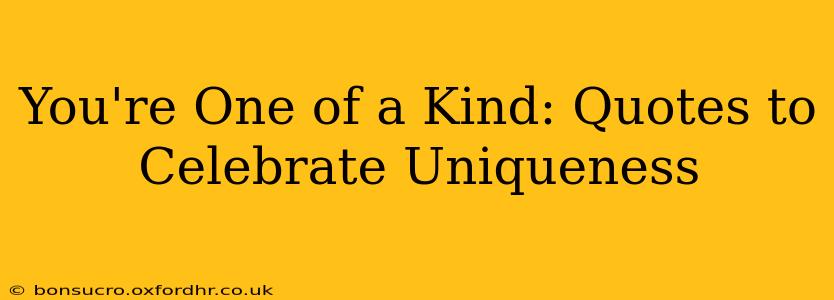 You're One of a Kind: Quotes to Celebrate Uniqueness